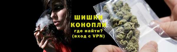 тгк Богданович