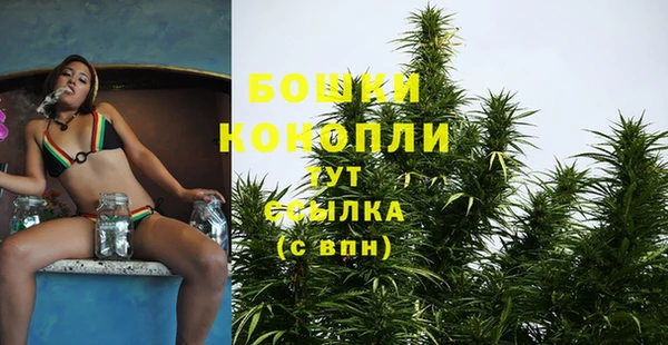 тгк Богданович