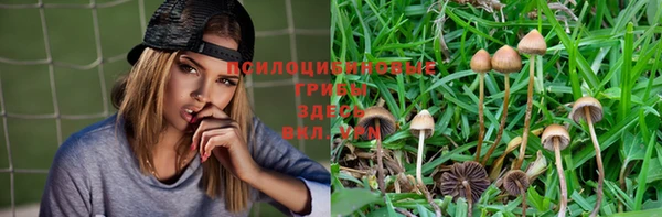 кокаин колумбия Богородицк