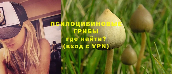 тгк Богданович