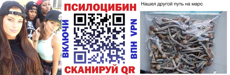 Галлюциногенные грибы Psilocybine cubensis  блэк спрут ссылки  Киржач  магазин  наркотиков 